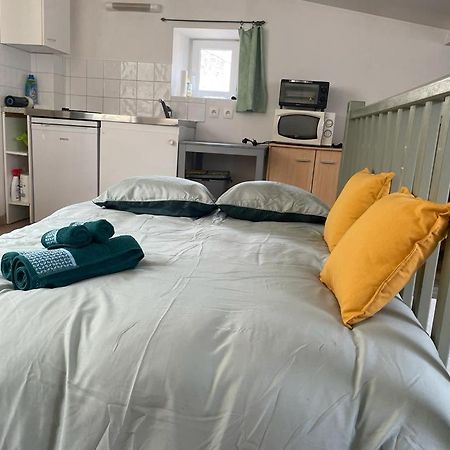 Apartament Face Au Canal Du Midi Carcassonne Zewnętrze zdjęcie