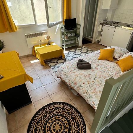 Apartament Face Au Canal Du Midi Carcassonne Zewnętrze zdjęcie