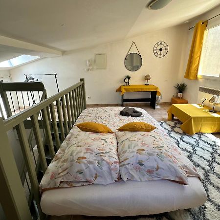 Apartament Face Au Canal Du Midi Carcassonne Zewnętrze zdjęcie