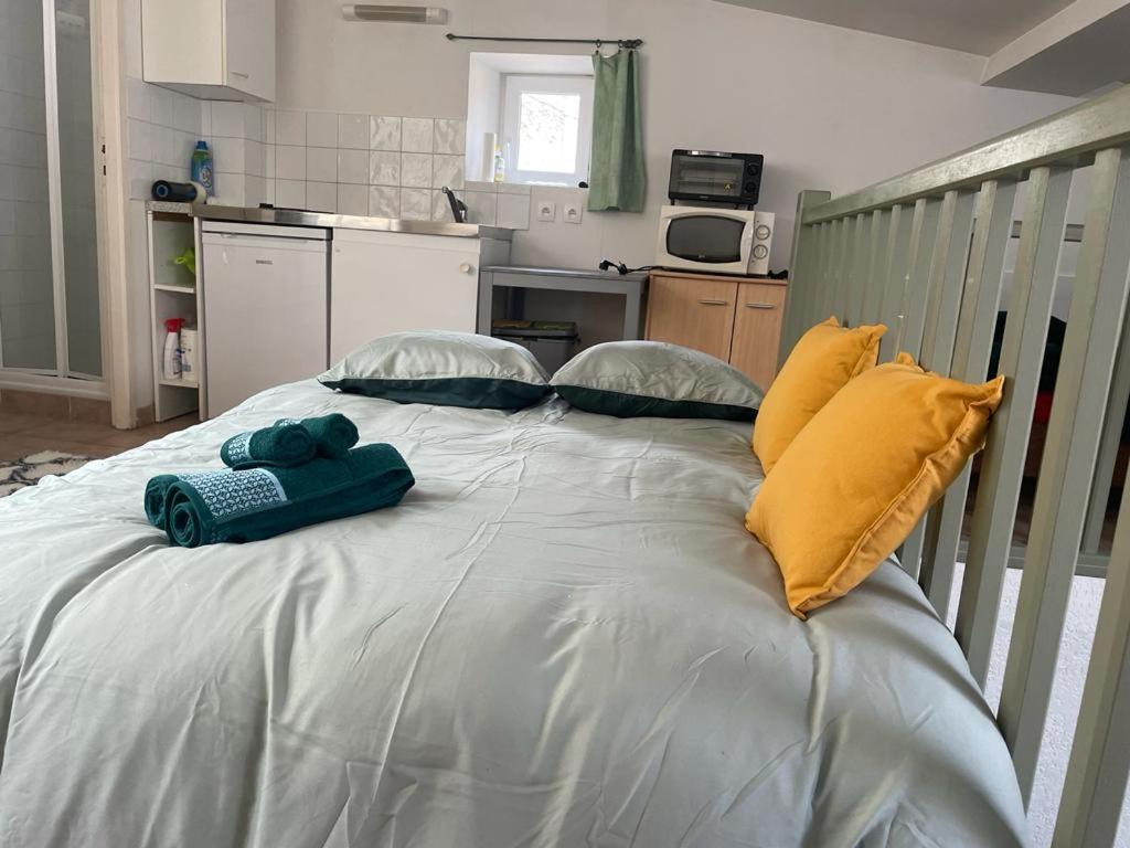 Apartament Face Au Canal Du Midi Carcassonne Zewnętrze zdjęcie