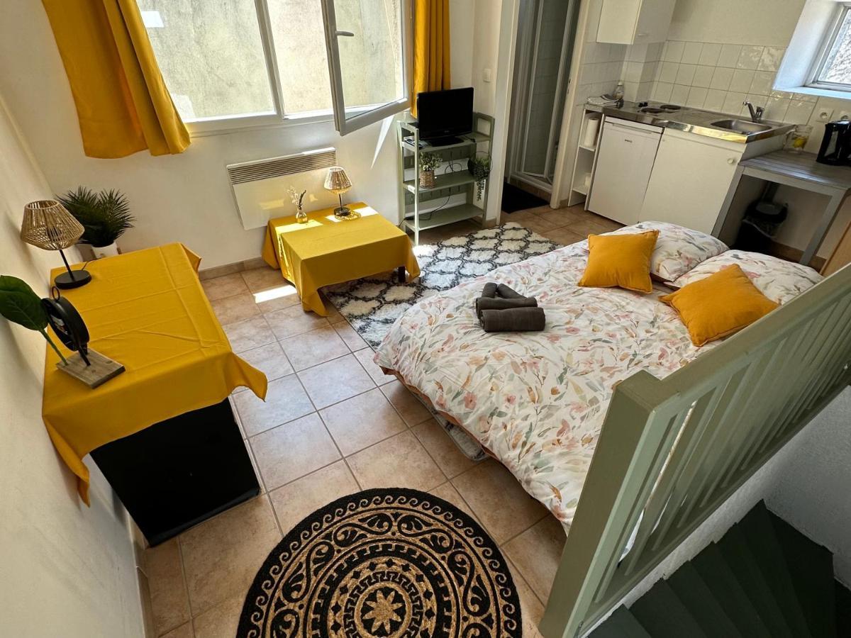 Apartament Face Au Canal Du Midi Carcassonne Zewnętrze zdjęcie