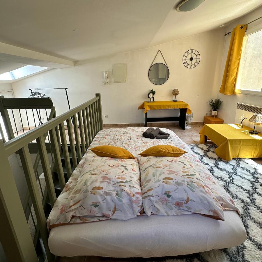 Apartament Face Au Canal Du Midi Carcassonne Zewnętrze zdjęcie