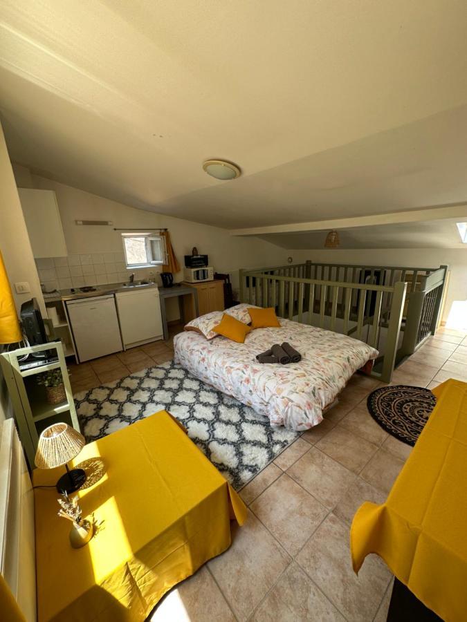 Apartament Face Au Canal Du Midi Carcassonne Zewnętrze zdjęcie